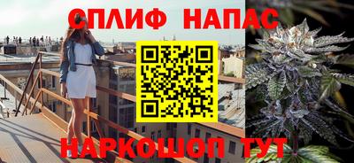 a pvp Донской
