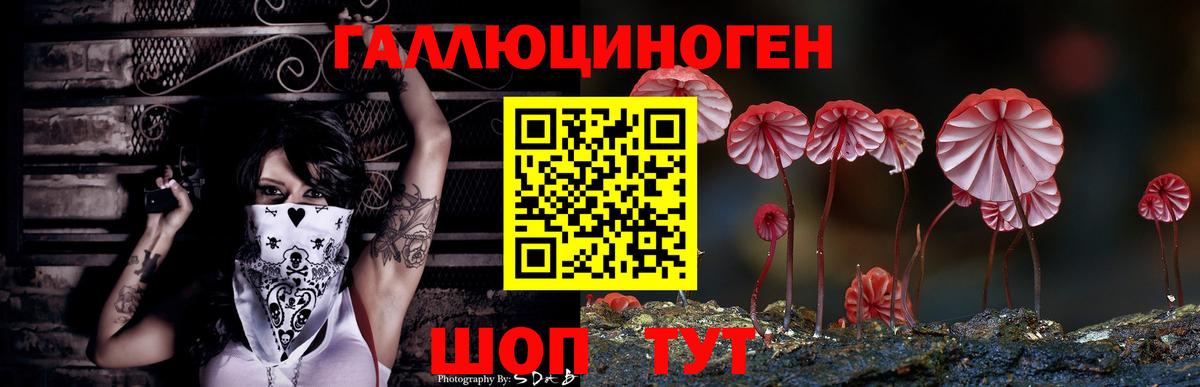 Галлюциногенные грибы мицелий  Галлюциногенные грибы ЛСД  Малоярославец  Вход с VPN 
